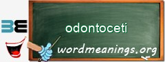 WordMeaning blackboard for odontoceti